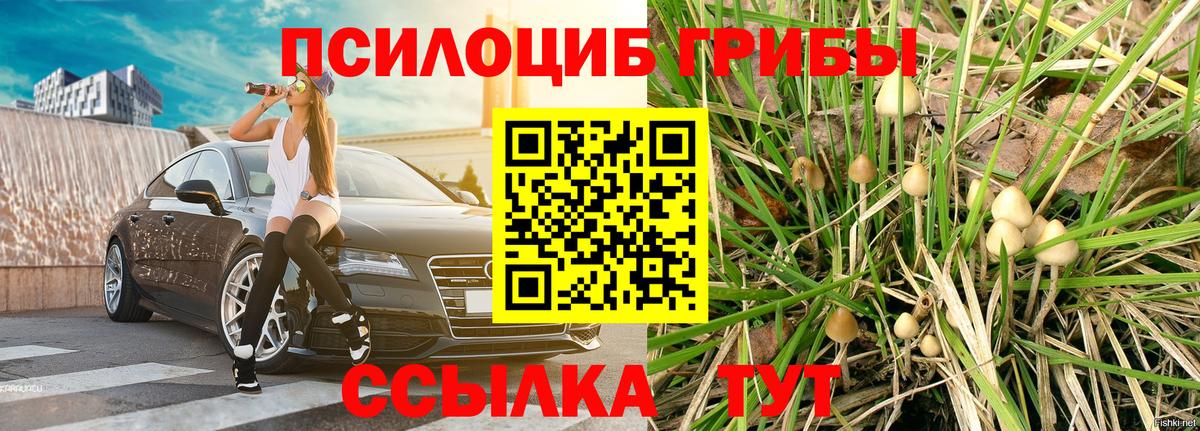 Псилоцибиновые грибы ЛСД  Вход с VPN  Иркутск 
