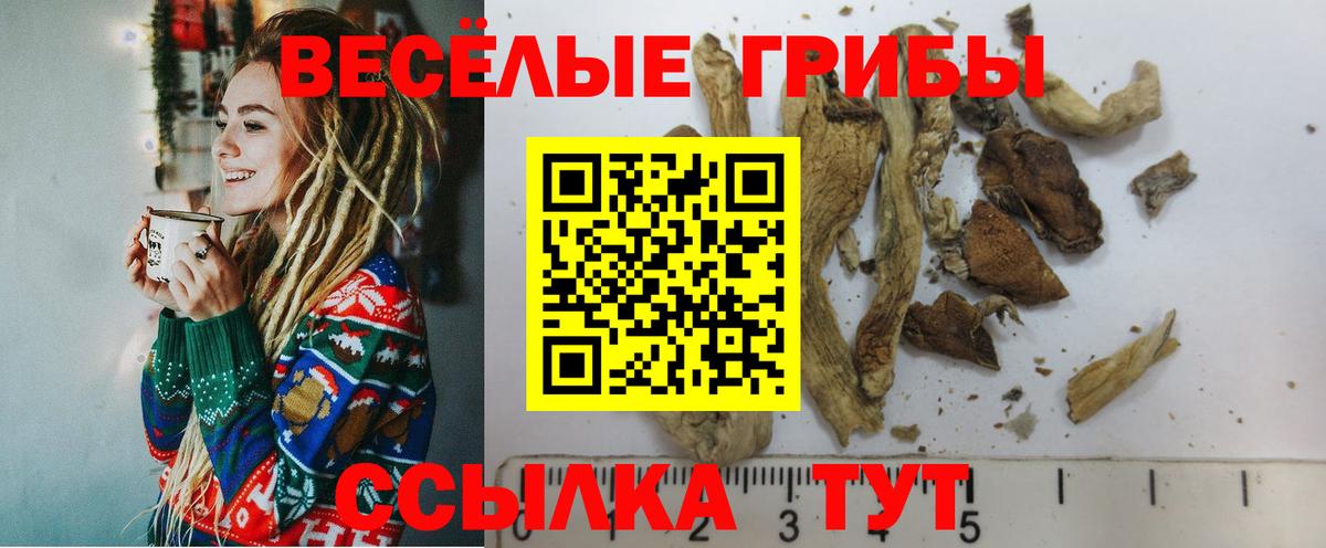 Псилоцибиновые грибы ЛСД Иркутск